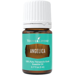 Angelica Essential Oil – 5 ml