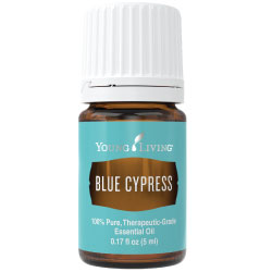 Blue Cypress Essential Oil – 5 ml