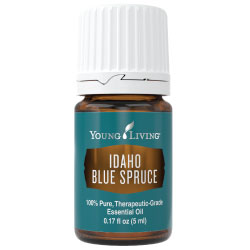 Idaho Blue Spruce Essential Oil – 5ml