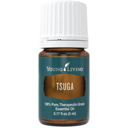 Tsuga Essential Oil – 5 ml