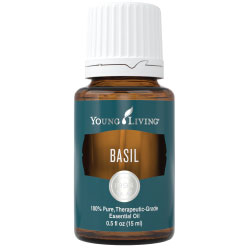 Basil Essential Oil – 15 ml