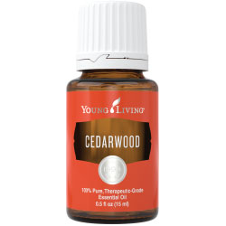 Cedarwood Essential Oil – 15 ml