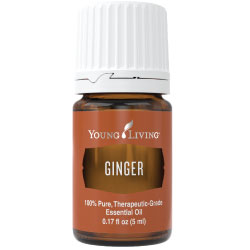 Ginger Essential Oil – 5ml