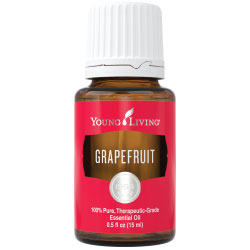 Grapefruit Essential Oil – 15 ml