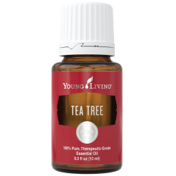 Tea Tree Essential Oil – 15 ml