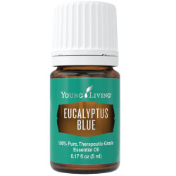 Eucalyptus Blue Essential Oil – 5 ml