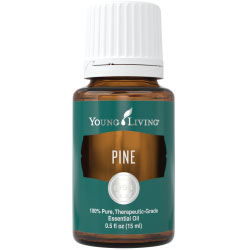 Pine Essential Oil – 15 ml