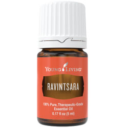 Ravintsara Essential Oil – 5 ml