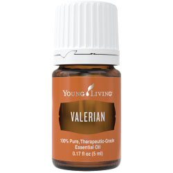 Valerian Essential Oil – 5 ml