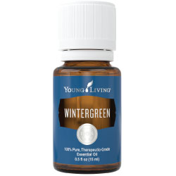 Wintergreen Essential Oil – 15 ml