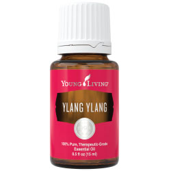 Ylang Ylang Essential Oil – 15 ml