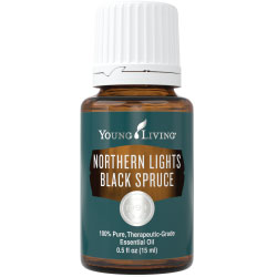 Northern Lights Black Spruce Essential Oil – 15 ml